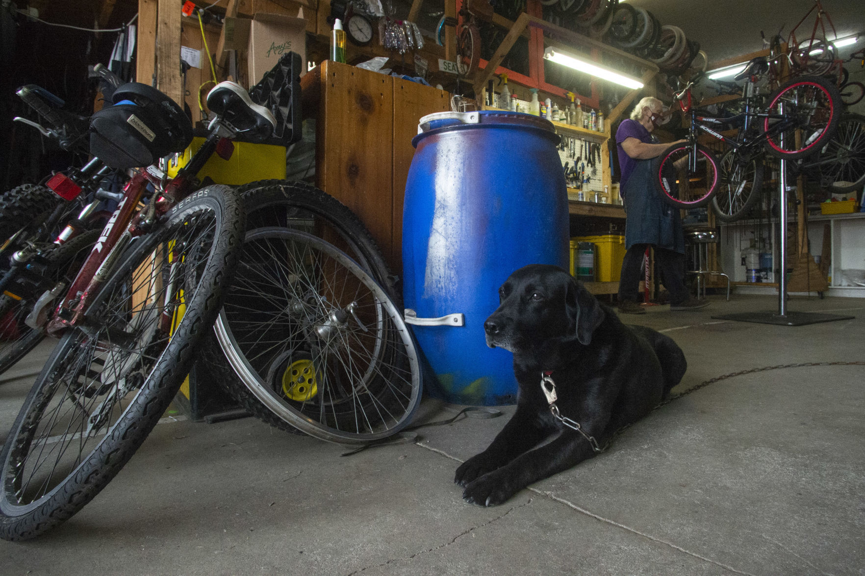 Bike Kitchen 4.15